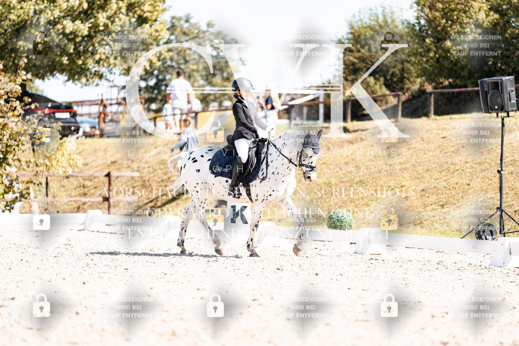 CK904181 | Turnierfotografie Pferdefotografie Trier Rheinland-Pfalz Pferdesport Reitsport Tierfotografie Sportfotografie Pferdevideo Pferdevideografie Equestrianvideography equestrianphotography  - Realisiert mit Pictrs.com