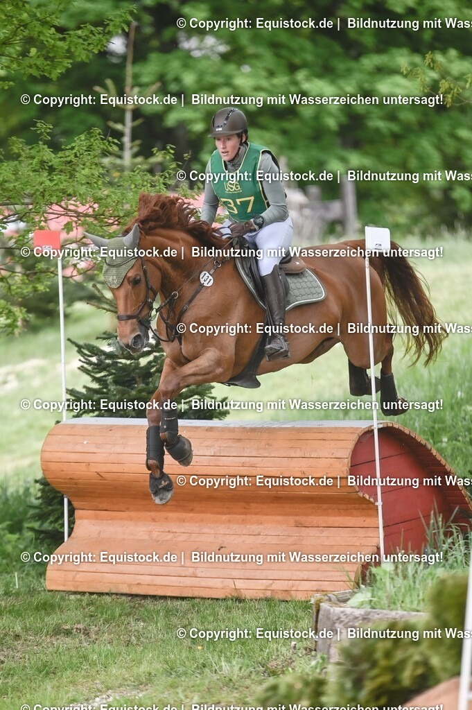 20250517_CCI1_Gelände_0428 | Foto: Thomas Hartig