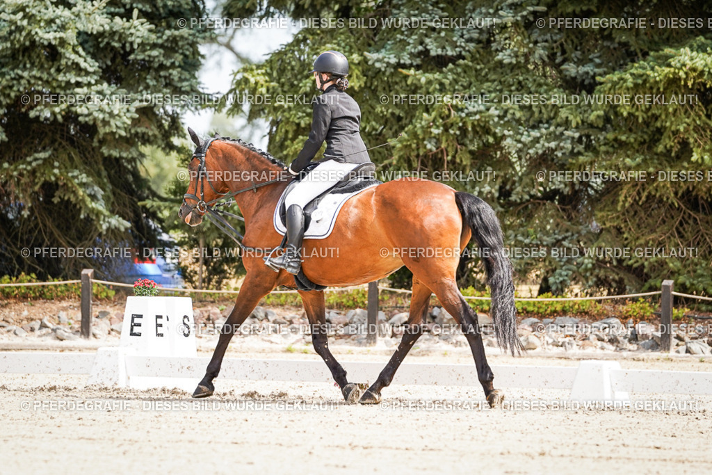 DSC02488 | Pferdegrafie