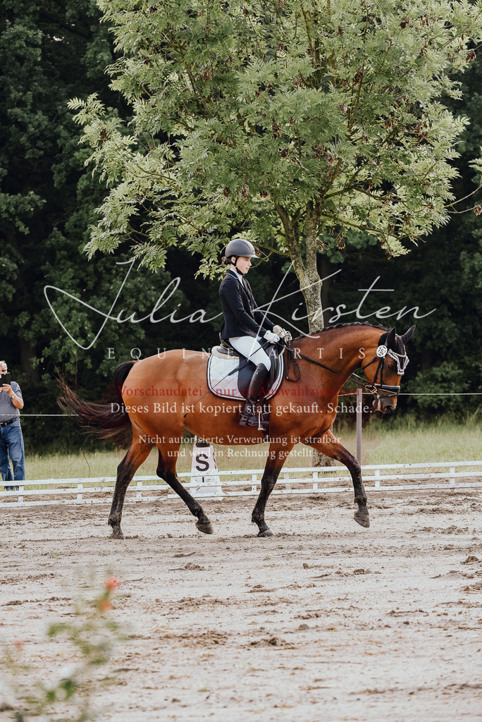DSC_8136 | Pferde- und Turnierfotografie in Westsachsen. Pferdeportraits, Auftragszeichnungen und intuitive Kunst.
