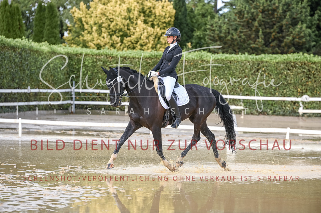 Schugtsche-Aluta25-54.Dressurprf.L1Trense-186 | Schugtsche Fotografie - Realisiert mit Pictrs.com