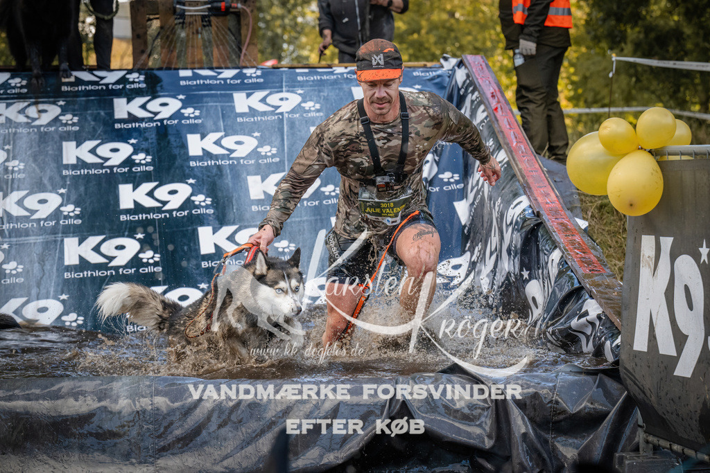 1552_ZZ90939 | kk-dogfotos