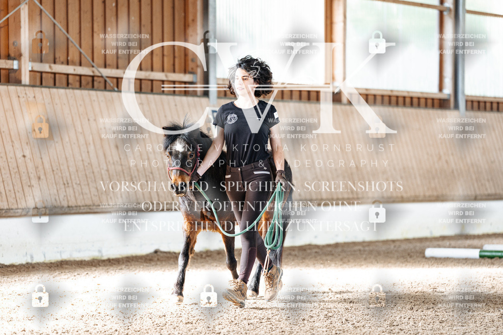 CK905176 | Turnierfotografie Pferdefotografie Trier Rheinland-Pfalz Pferdesport Reitsport Tierfotografie Sportfotografie Pferdevideo Pferdevideografie Equestrianvideography equestrianphotography  - Realisiert mit Pictrs.com