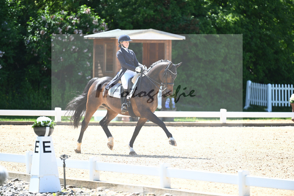 Purrmann_Devendra CE_12246296 | hf-fotografie - Realisiert mit Pictrs.com