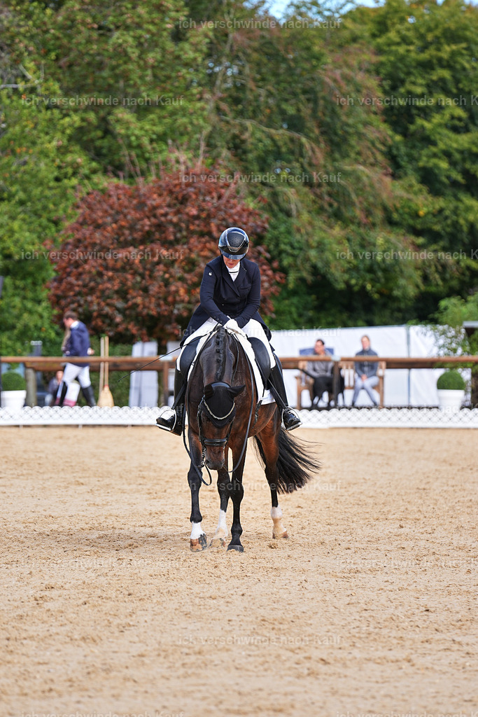 6-176-AMATUER-DRESSUR S_  -Marixx-3685 | working equitationturnier fotograf videograf stoibphotography marixx film working equitation deutschland reitsport turnierfotografie eventfotografie equestrian events