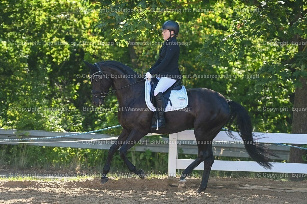 20230715_06_Dressurpferdeprfg. Kl.A_0348 | equistock