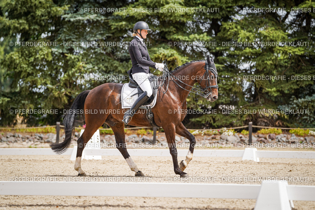 DSC03835 | Pferdegrafie