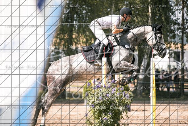 _W6A1168 | ronjaprokoschfotografie - Realisiert mit Pictrs.com