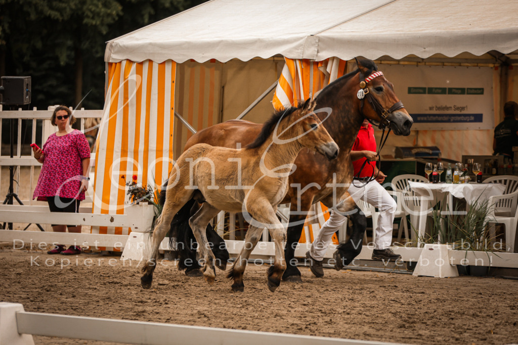 SaHF00080 | Leoni Ertmer Photography - Realisiert mit Pictrs.com