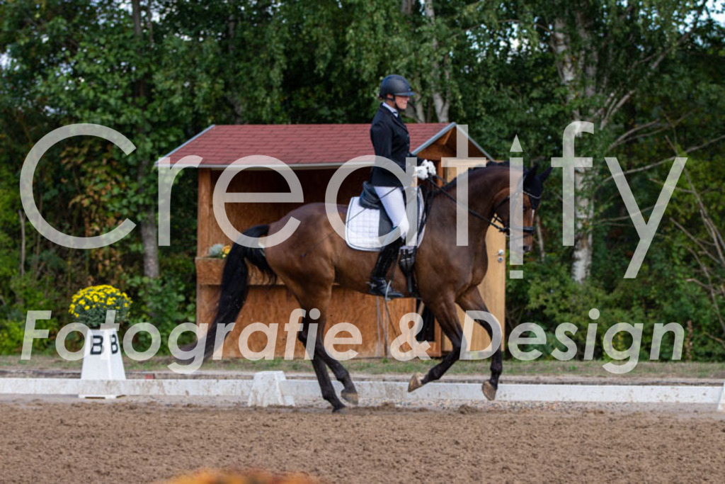 IMG_3890 | Creatify Fotografie