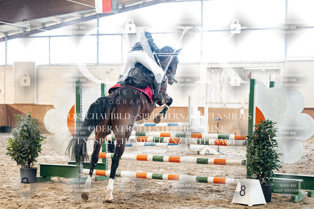 CK904545 | Turnierfotografie Pferdefotografie Trier Rheinland-Pfalz Pferdesport Reitsport Tierfotografie Sportfotografie Pferdevideo Pferdevideografie Equestrianvideography equestrianphotography  - Realized with Pictrs.com