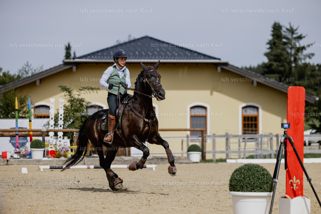 Mirjam25_FHC2025-20416 | working equitationturnier fotograf videograf stoibphotography marixx film working equitation deutschland reitsport turnierfotografie eventfotografie equestrian events