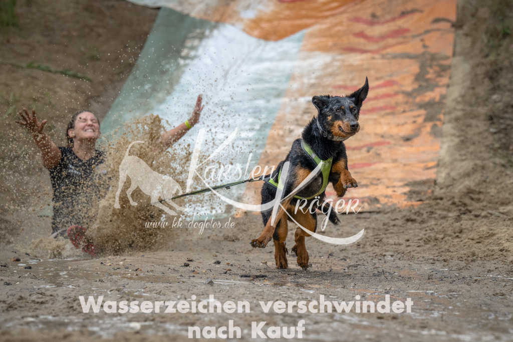 1650_ZZ90758-Bearbeitet | kk-dogfotos