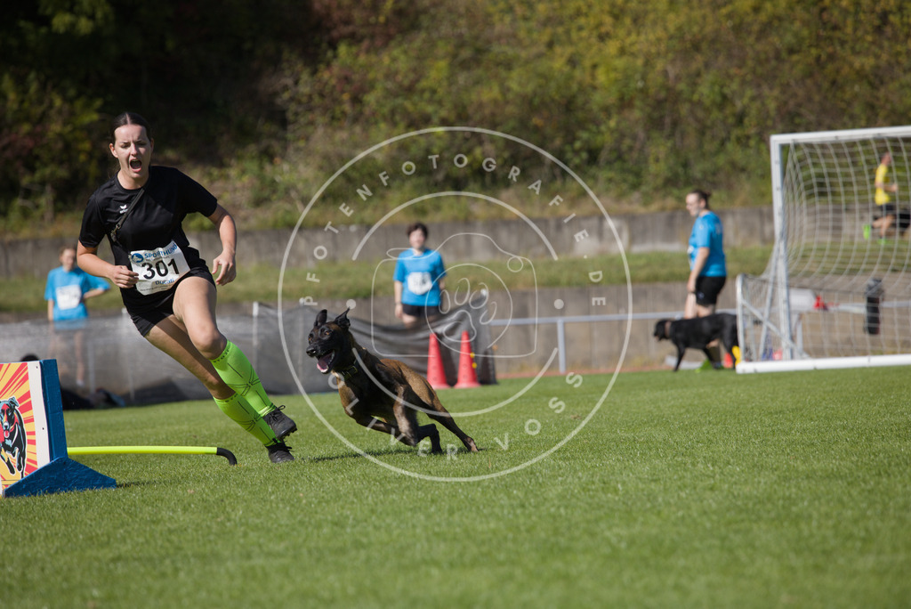 0L8A7495 | Hundefotografie, Tierfotograf, Pfotenfotografie, Fotoshooting Hund, Hunde Portrait, Hundesport, Hundeportraits, Heideshooting, Hunde, Sportfotograf, Hundefotograf, Turnierhundsport, THS,  - Realisiert mit Pictrs.com