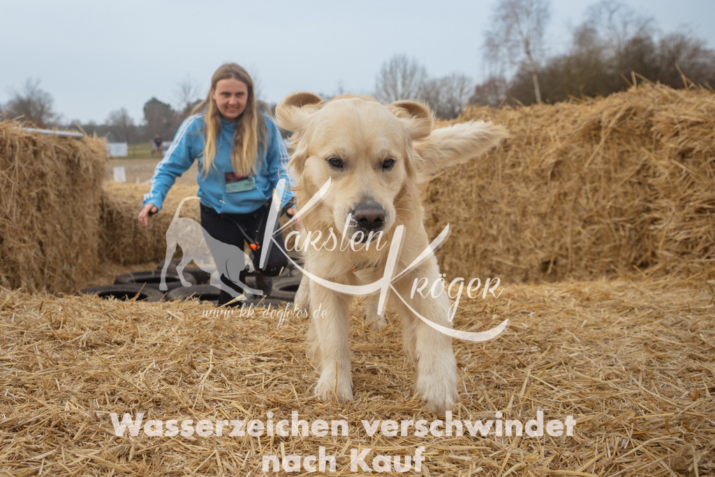0952_ZZ90563 | kk-dogfotos