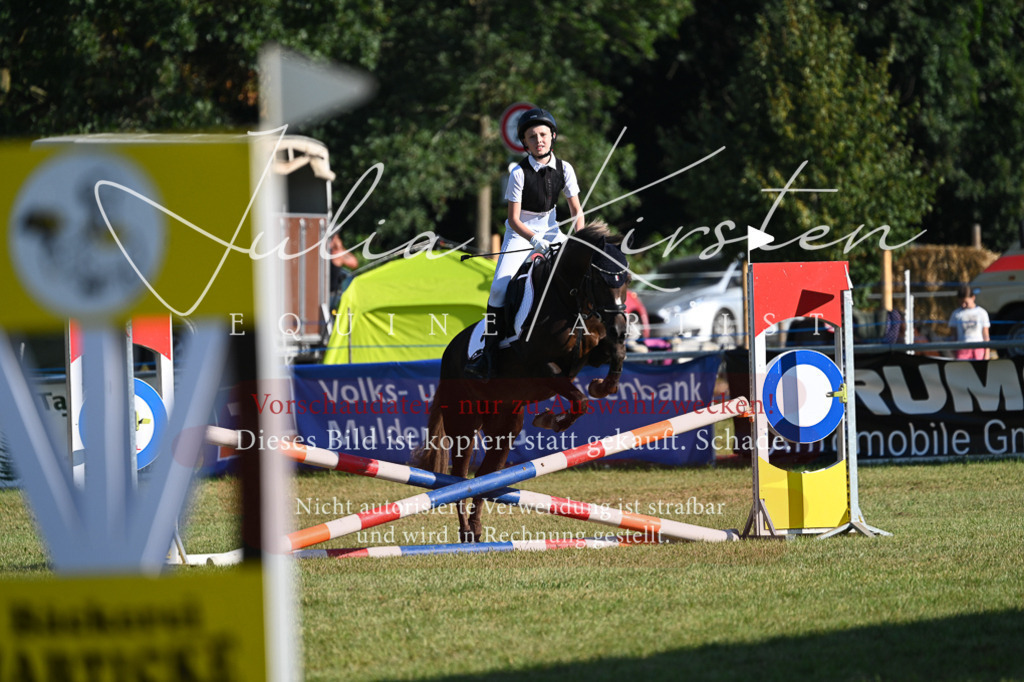 DSC_5008 | Pferde- und Turnierfotografie in Westsachsen. Pferdeportraits, Auftragszeichnungen und intuitive Kunst.