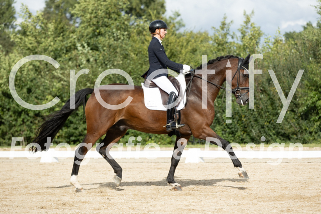 IMG_7014 | Creatify Fotografie