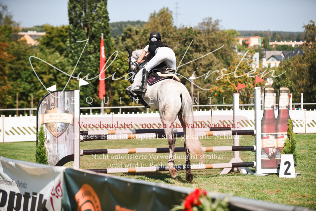 DSC_2904 | Pferde- und Turnierfotografie in Westsachsen. Pferdeportraits, Auftragszeichnungen und intuitive Kunst.