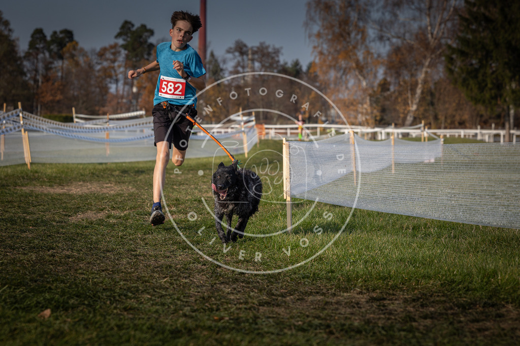 CaniXpix_0L8A9672 | Hundefotografie, Tierfotograf, Pfotenfotografie, Fotoshooting Hund, Hunde Portrait, Hundesport, Hundeportraits, Heideshooting, Hunde, Sportfotograf, Hundefotograf, Turnierhundsport, THS,  - Realisiert mit Pictrs.com