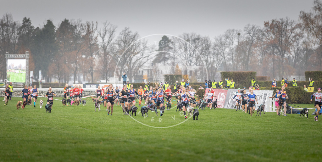 CaniXpix_DV3A8693 | Hundefotografie, Tierfotograf, Pfotenfotografie, Fotoshooting Hund, Hunde Portrait, Hundesport, Hundeportraits, Heideshooting, Hunde, Sportfotograf, Hundefotograf, Turnierhundsport, THS,  - Realisiert mit Pictrs.com