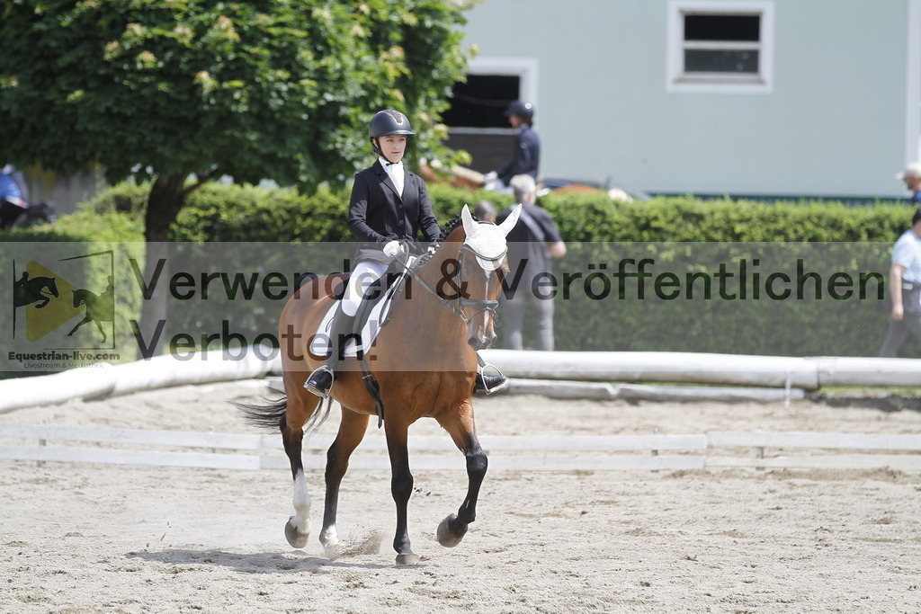_MG_8597 | equestrian-live-com