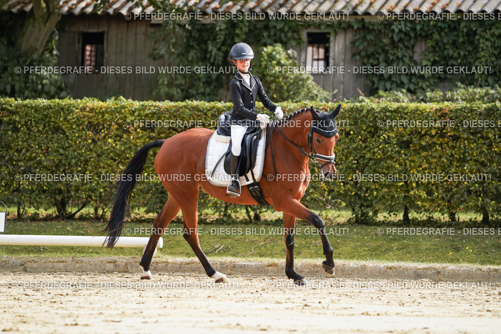 DSC04076 | Pferdegrafie