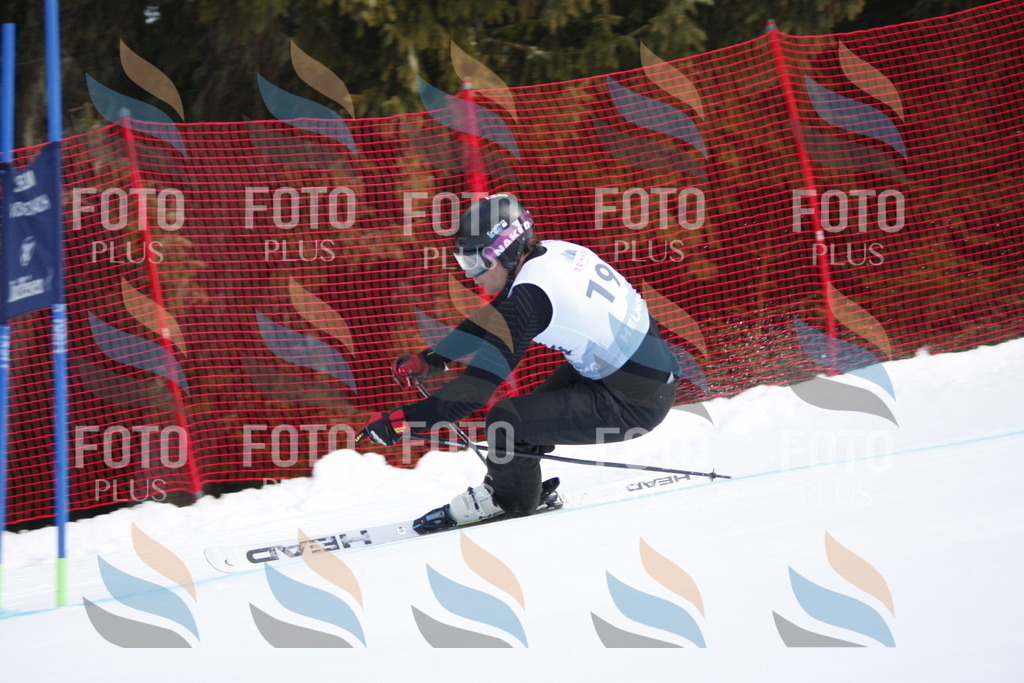 D8015 | holidayphoto