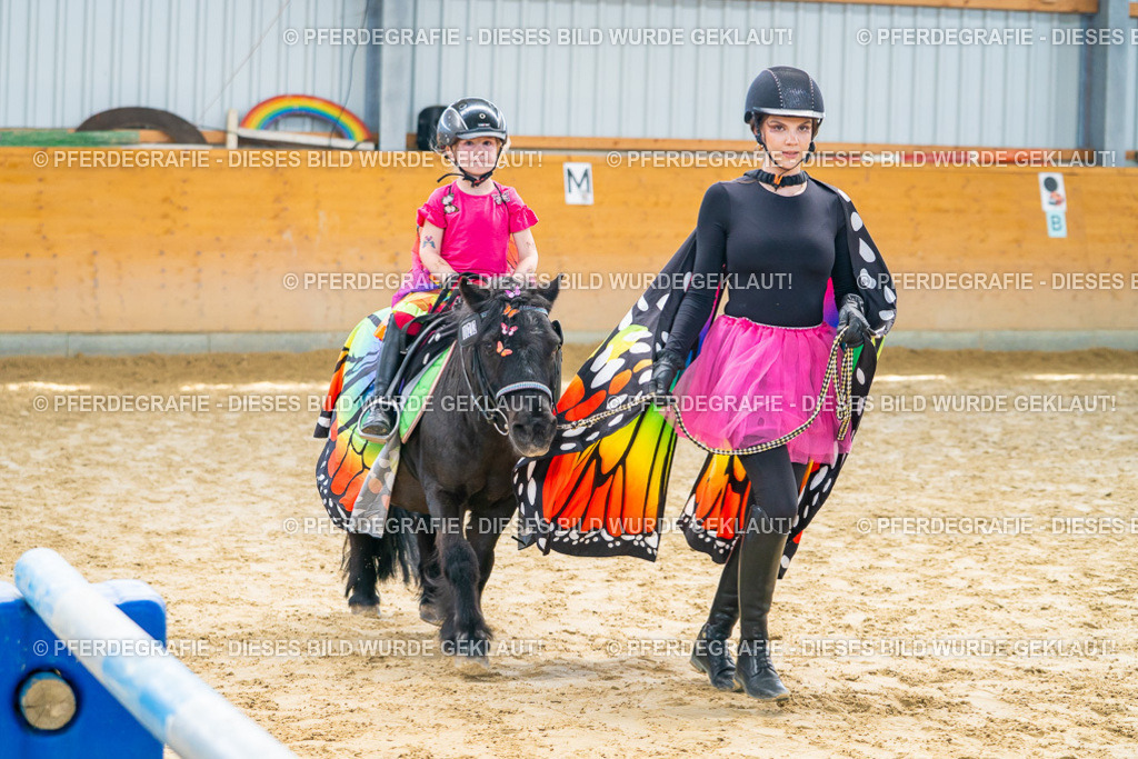 DSC00564 | Pferdegrafie