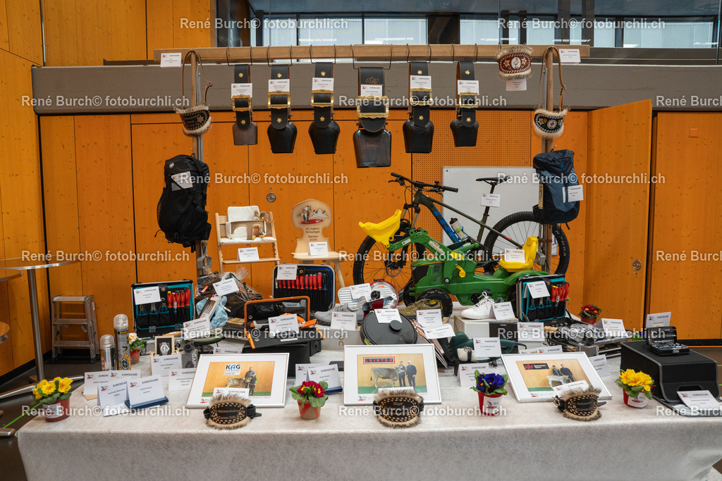 RB_09209-2 | René Burch leidenschaftlicher Fotograf aus Kerns in Obwalden.  Hier finden sie Sport, Landschaft und Natur Fotografie.
 - Realisiert mit Pictrs.com