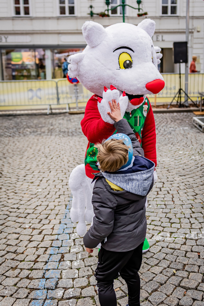 IMG_3870 | SportEventFotografie - Roman Stoiber