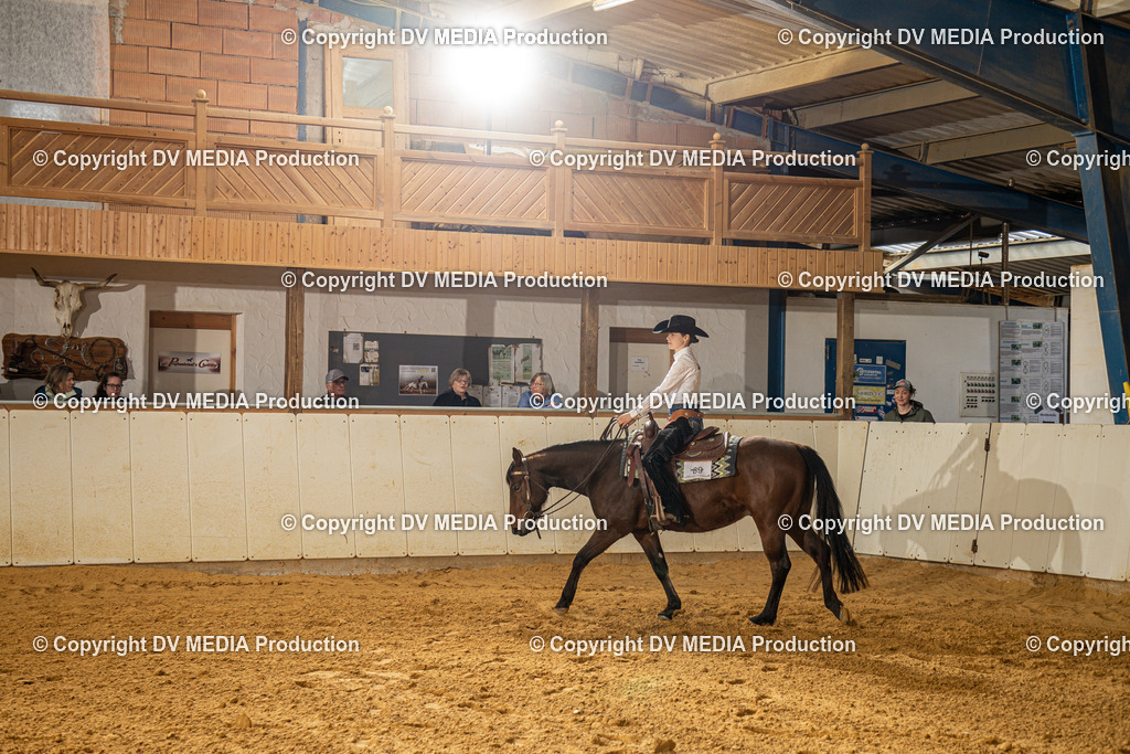 MIT00917 | dv-media-shop - Realisiert mit Pictrs.com