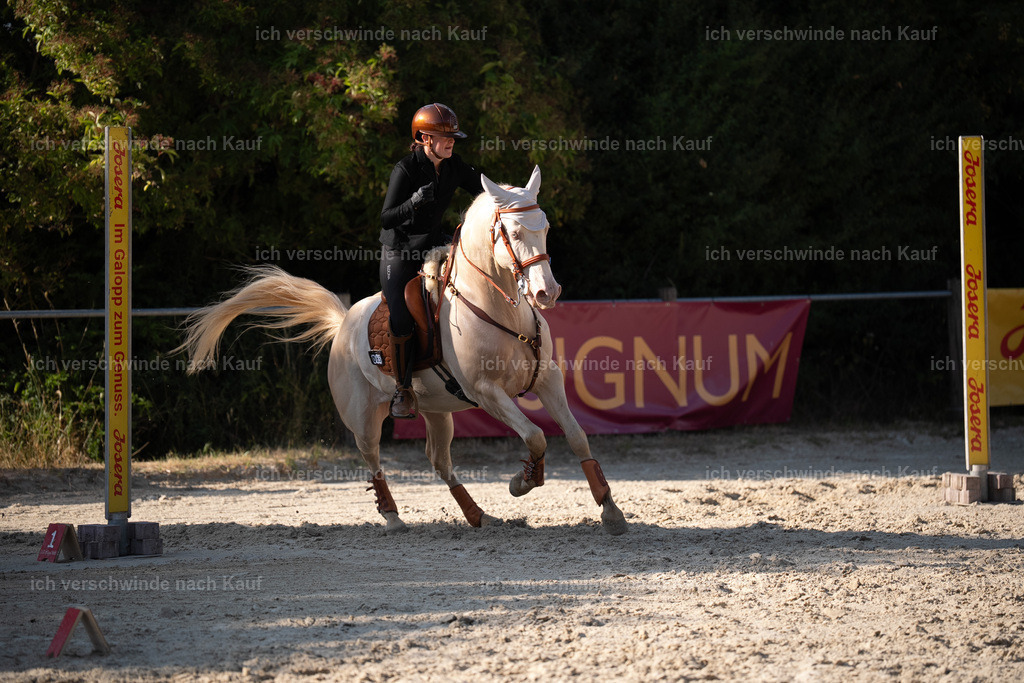 WS_SP_65_Stoibphotography_SO12073 | working equitationturnier fotograf videograf stoibphotography marixx film working equitation deutschland reitsport turnierfotografie eventfotografie equestrian events
