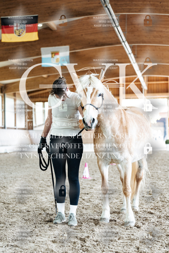 CK908610 | Turnierfotografie Pferdefotografie Trier Rheinland-Pfalz Pferdesport Reitsport Tierfotografie Sportfotografie Pferdevideo Pferdevideografie Equestrianvideography equestrianphotography  - Realisiert mit Pictrs.com