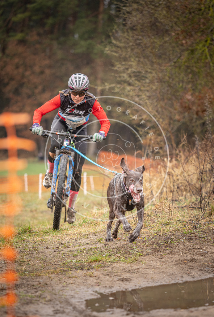 DV3A8985 | Hundefotografie, Tierfotograf, Pfotenfotografie, Fotoshooting Hund, Hunde Portrait, Hundesport, Hundeportraits, Heideshooting, Hunde, Sportfotograf, Hundefotograf, Turnierhundsport, THS,  - Realisiert mit Pictrs.com