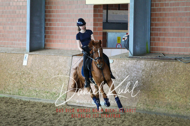 DKP42771 | Turniersportfotografie; Pferdefotografie; Dressurfotografie