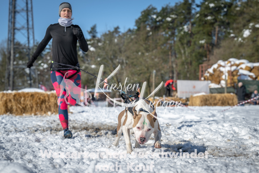 1117_ZZ91330-3 | kk-dogfotos