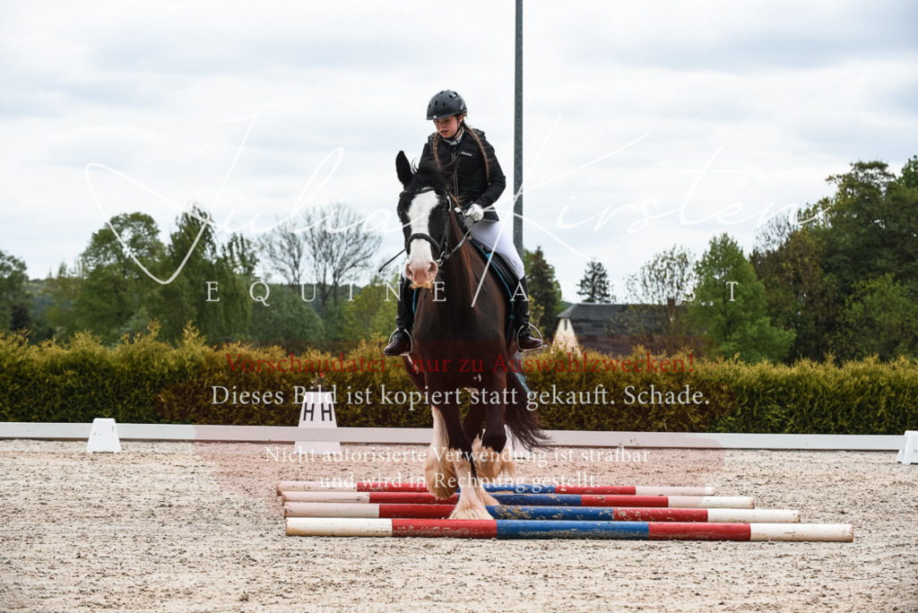 20230518_JK-Röhrsdorf-10-367 | Pferde- und Turnierfotografie in Westsachsen. Pferdeportraits, Auftragszeichnungen und intuitive Kunst.