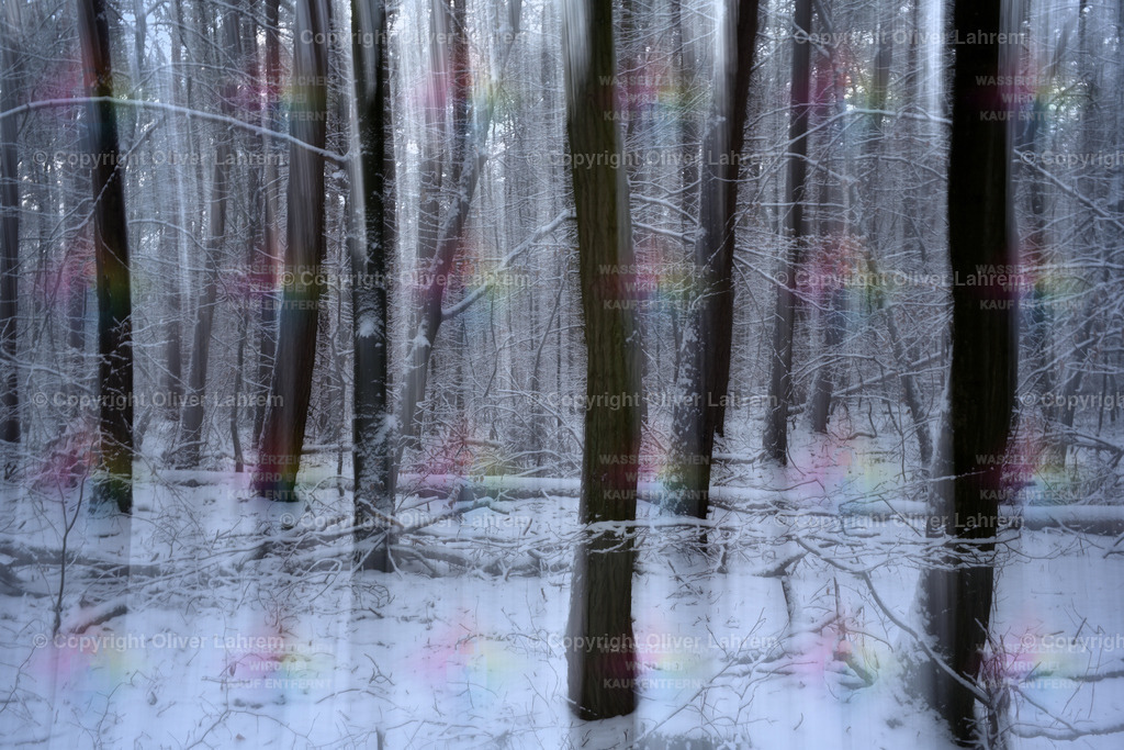 Heimatwald Art | Blick in den winterlichen Wald von Klein Welzheim / Seligenstadt.Die Bilder wurden mit einer Fotografische Technik aufgenommen und haben dadurch ein spezielle Ästhetik.