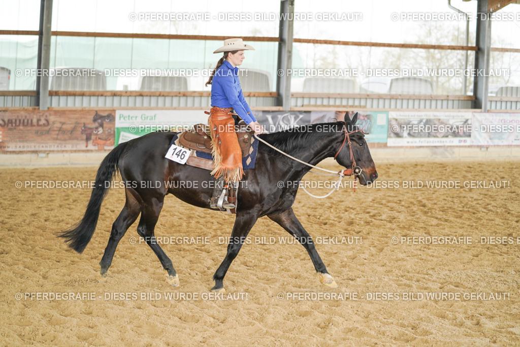 DSC05280 | Pferdegrafie