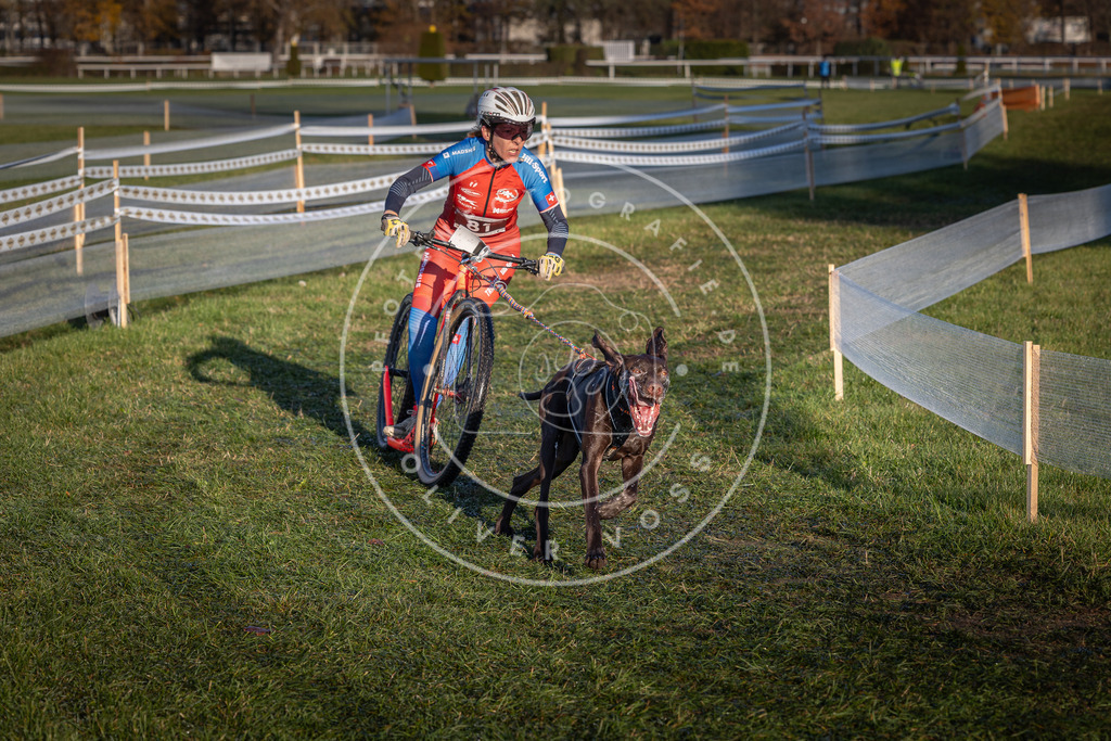 CaniXpix_0L8A3704 | Hundefotografie, Tierfotograf, Pfotenfotografie, Fotoshooting Hund, Hunde Portrait, Hundesport, Hundeportraits, Heideshooting, Hunde, Sportfotograf, Hundefotograf, Turnierhundsport, THS,  - Realisiert mit Pictrs.com