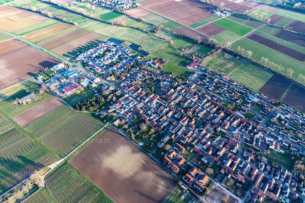 Luftbild:  in Altdorf im Bundesland Rheinland-Pfalz in Deutschland. – Foto: IMG_130686.jpg vom 23.02.2022 durch Werner Riehm/FLY-FOTO.de – Auflösung des Originals: 5472 x 3648 px – Altdorf in der Pfalz - Altdorf in der Pfalz