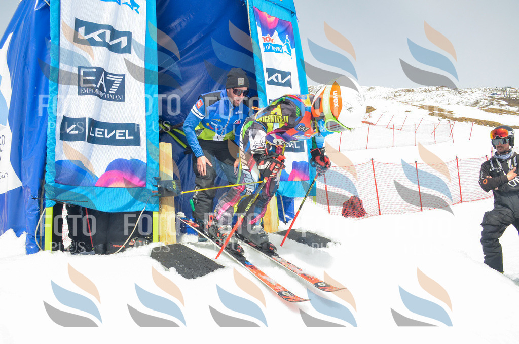 _ELE8233 | holidayphoto