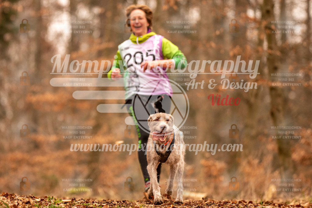 AKM_ST_2023_SAM_Run-5 | PayLife
