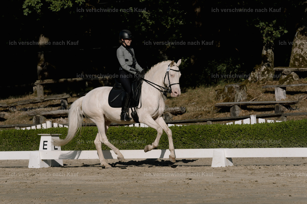 WM_DR_76_sinafilmart_IN04465 | working equitationturnier fotograf videograf stoibphotography marixx film working equitation deutschland reitsport turnierfotografie eventfotografie equestrian events