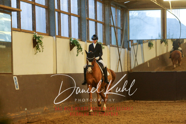 IMG_7076 | Turniersportfotografie; Pferdefotografie; Dressurfotografie