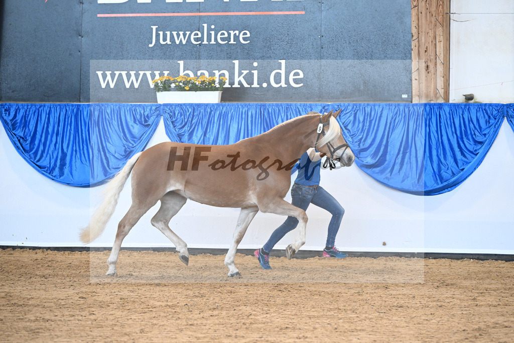 Bl. Band Kat-Nr. 9 Jalia v. Bon Jovi_Mueller_48241125 | hf-fotografie - Realisiert mit Pictrs.com