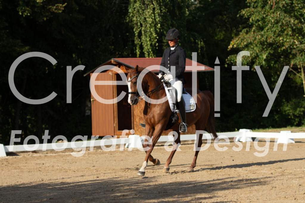 IMG_0985 | Creatify Fotografie