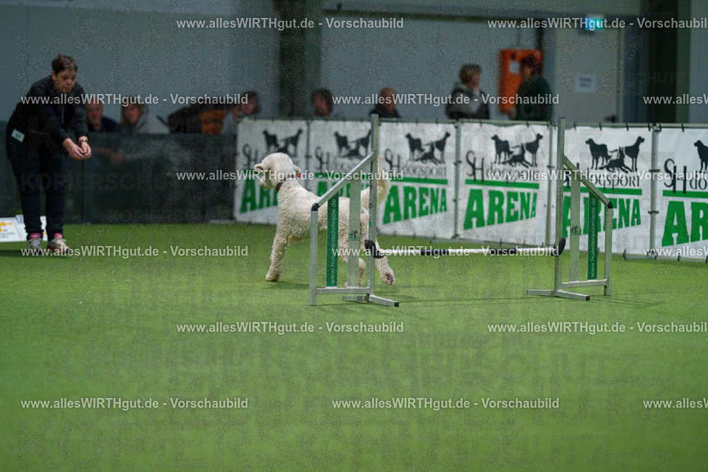 7R505528 | Professionelle Tierfotografie in Mönchengladbach von Daniel Wirth (allesWIRTHgut). Liebevolle & natürliche Bilder von Hunden & Katzen für unvergessliche Erinnerungen.