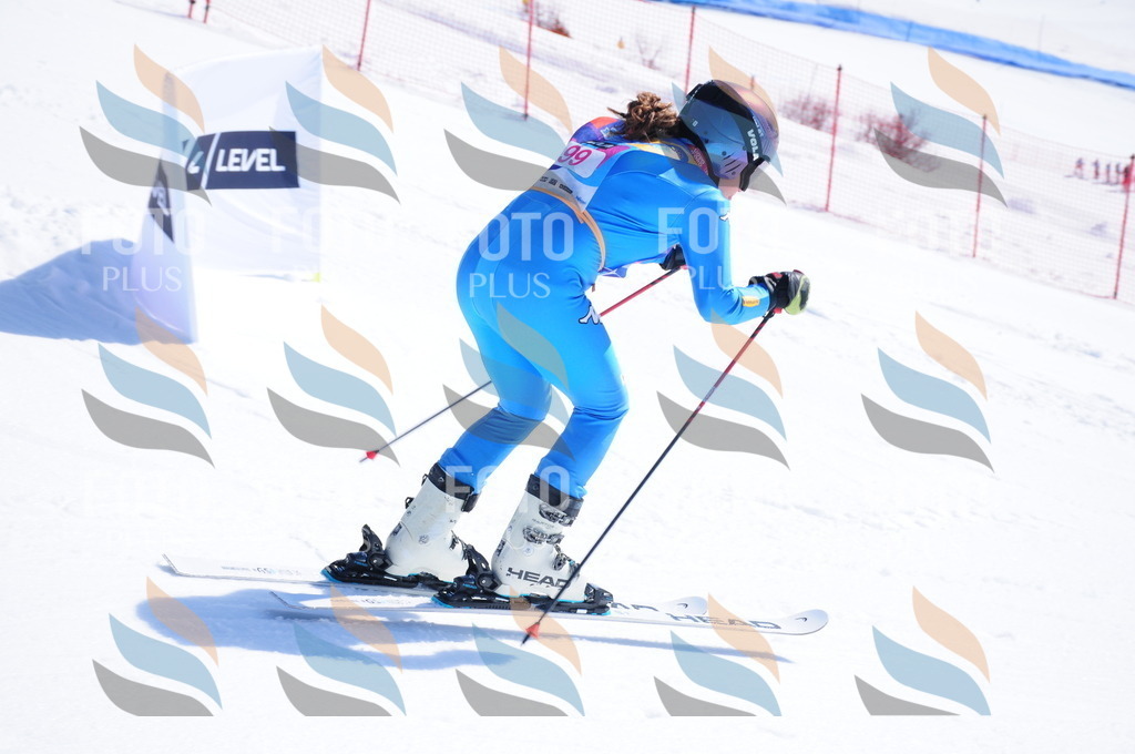 DSC_4741 | holidayphoto