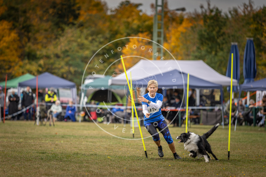 Pfotenfotografie_DV3A5867 | Hundefotografie, Tierfotograf, Pfotenfotografie, Fotoshooting Hund, Hunde Portrait, Hundesport, Hundeportraits, Heideshooting, Hunde, Sportfotograf, Hundefotograf, Turnierhundsport, THS,  - Realisiert mit Pictrs.com
